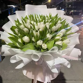 White Tulips