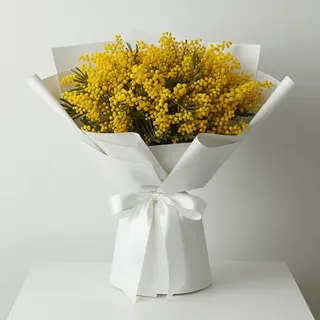 Mimosa For You