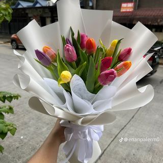 Tulips mixed