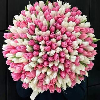 Pink White Tulips Mix