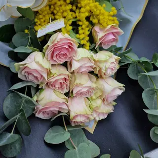 Rose Con Mimosa