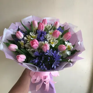 Lovely Tulips