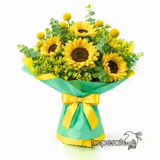 Girasole with mimosa