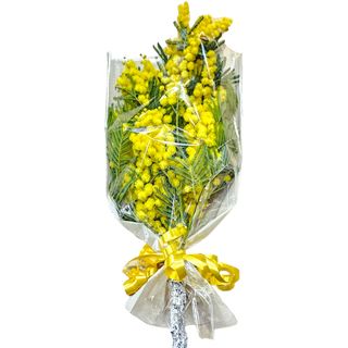Mazzo di Mimosa