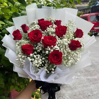15 Rose Rosse Premium