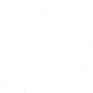 LIMITED EDITION COTECHINO & CAVOLO