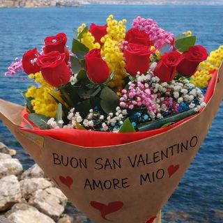 “15 Rose, Un Amore”