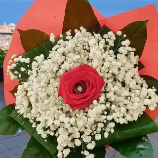 Perla d’Amore