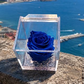 Rosa Oceano Blu