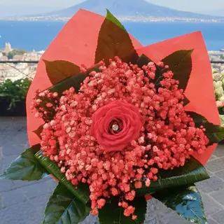 Cuore di fuoco
