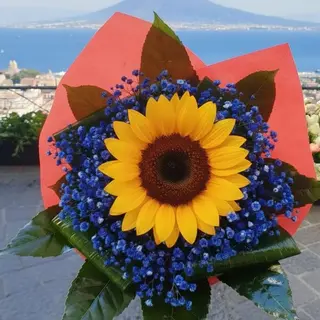 Blu Vesuvio