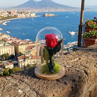 Cristallo Rosso (rosa rossa in campana)