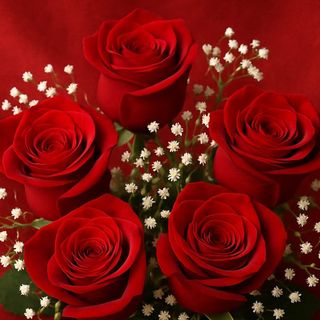 "Cinque Battiti d’Amore"