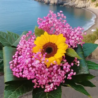Sole e Mare