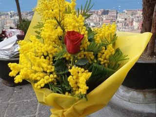 Fascio di Mimosa 1 rosa rossa