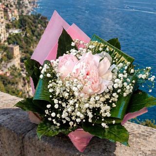 Profumo di Peonia