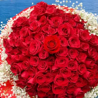 Amore Senza Limiti 100 rose rosse