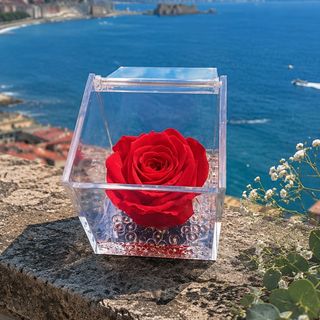 Rubino d’Amore (rosa rossa in cubo)