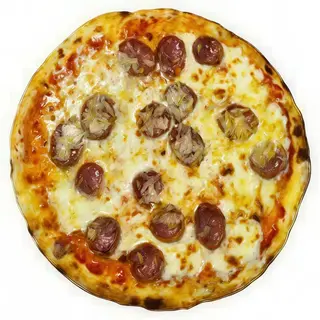 SARDA
