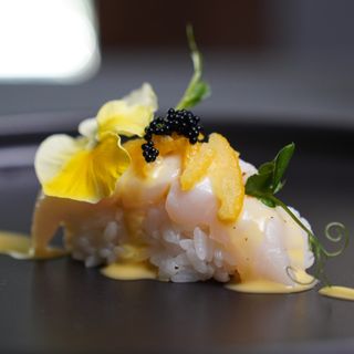 KAISEN NIGIRI - 1 pezzo