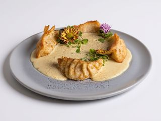 GYOZA KAMO 4pz