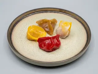 GYOZA TERRA