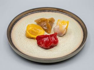 GYOZA TERRA