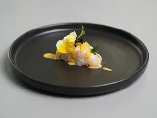 KAISEN NIGIRI - 1 pezzo