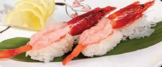 D6. Amaebi - 2 pezzi