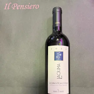 LACRIMA DI MORRO D'ALBA DOCG 2022