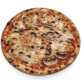 (T) Funghi