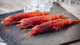 Gambero rosso mazara del vallo - 4 pezzi