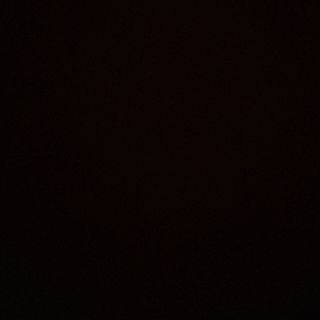 Udon gamberi e salmone