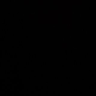 Pizza Tonno e cipolla