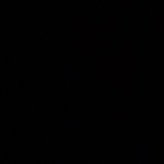 Pizza Funghi porcini