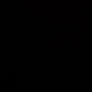 Pizza Funghi cardoncelli