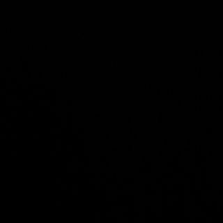 Pizza Grate'stracchino