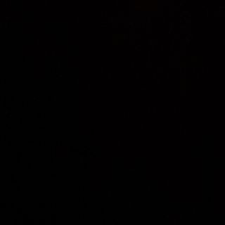 Pizza Prosciutto crudo - Parma 16 mesi