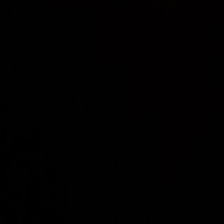 Pizza Zucchine grate'