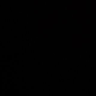 Pizza Radicchio e speck