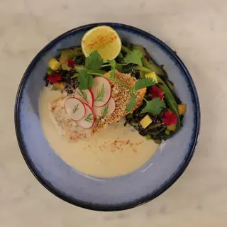MISO SALMON