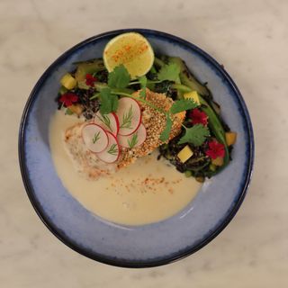 MISO SALMON