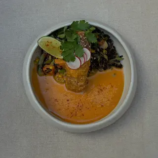 MISO SALMON