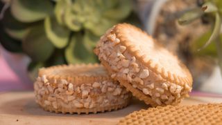 Cookies gelato nocciola