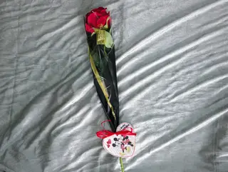 Rosa rossa con cuore di topolino e minny