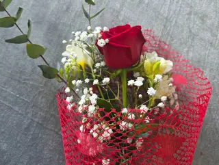 Rose for you