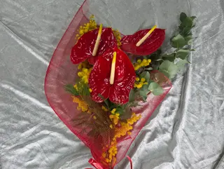 Mazzo di anthurium