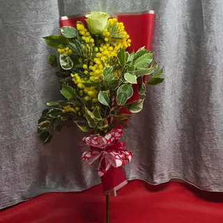 Rosa bianca