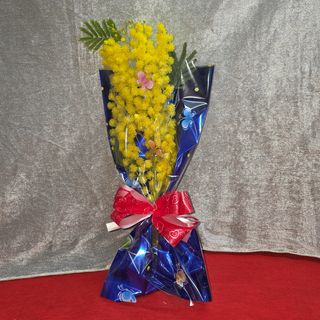 Ramo di mimosa
