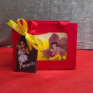 Borsetta della donna